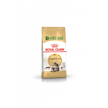 ROYAL CANIN CAT MAINE COON 4KG